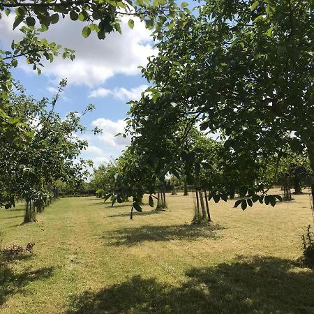 אוסטקאפלה Vakantiehuizen 'T Centrum מראה חיצוני תמונה